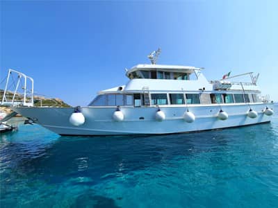 la nuova barca delfino verde di elena tour navigazioni