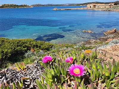 colori arcipelago la maddalena
