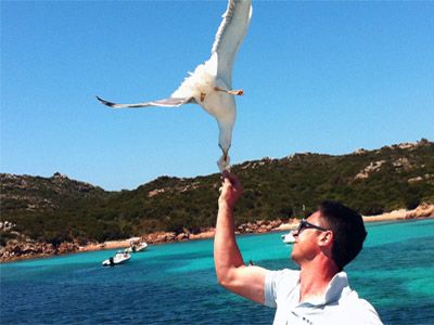 giocare con un gabbiano nell’arcipelago la maddalena